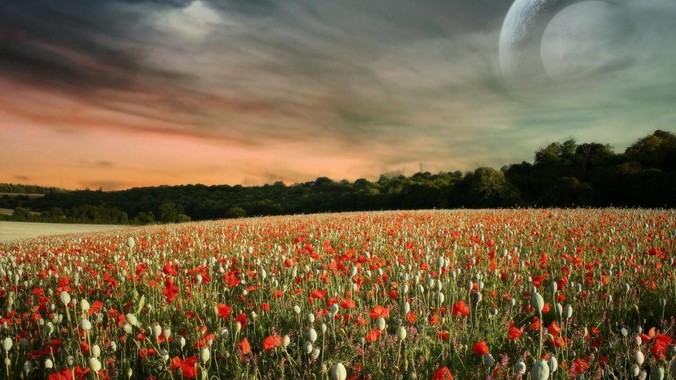 为什么几乎没人用电视屏幕连主机或者笔记本当显示器？